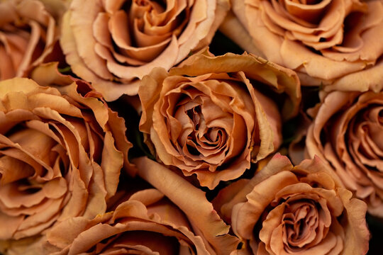 Banerių dizaino kūrimas