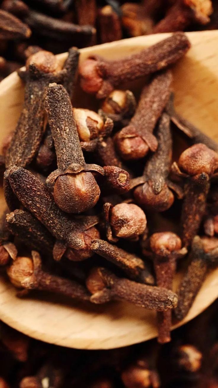 CLOVES