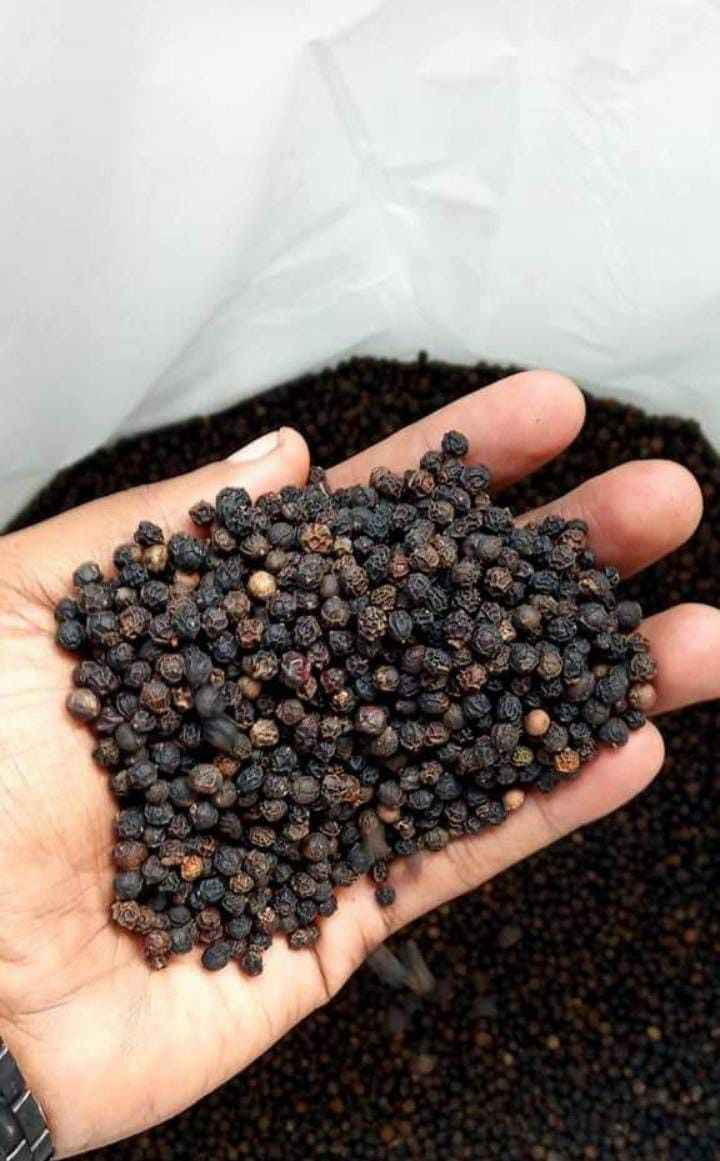 BLACK PEPPER