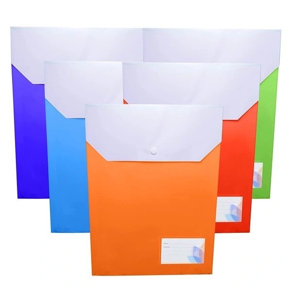 Expandable File Organizer