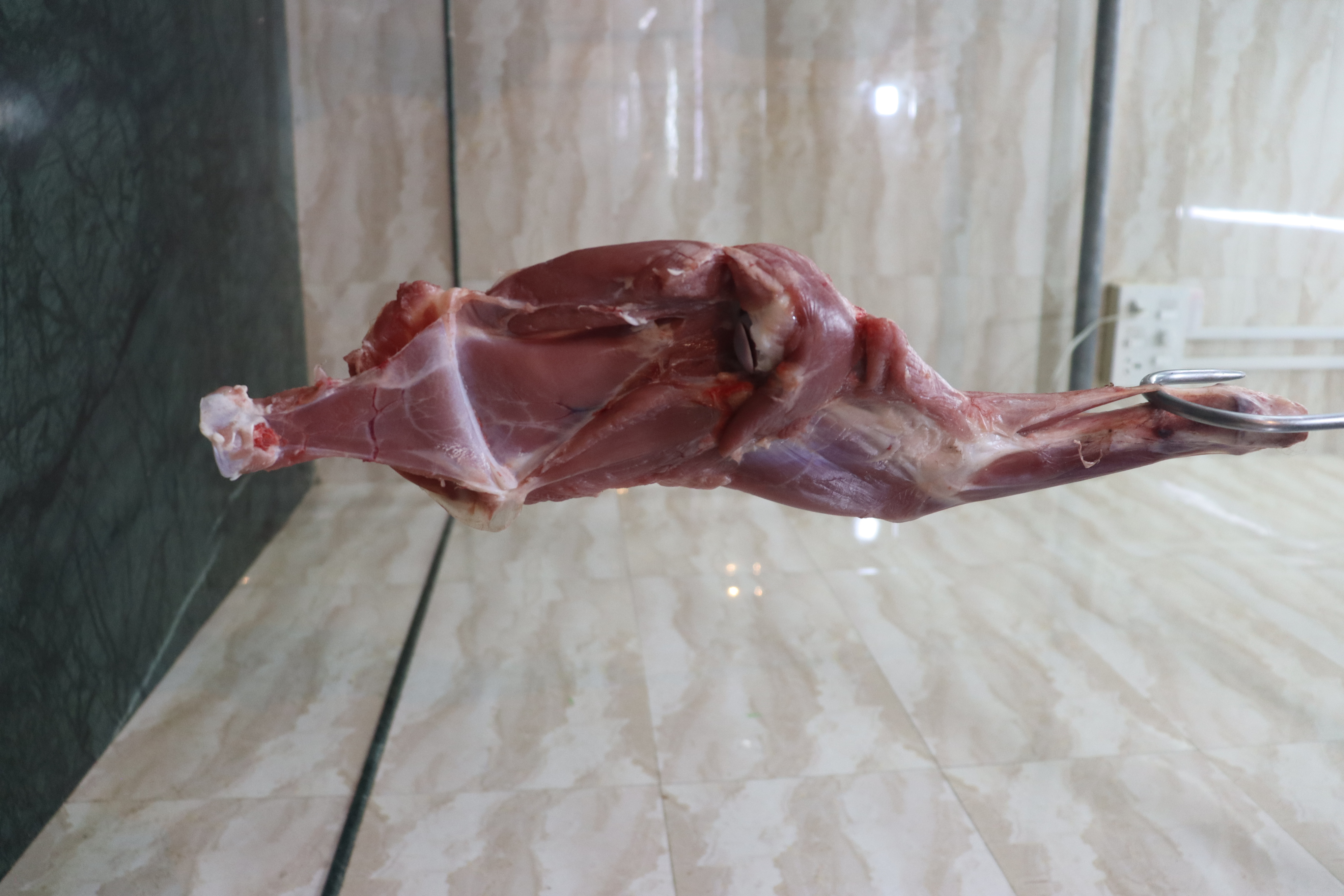 fresh mutton shoulder