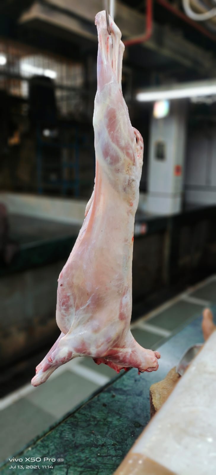 Fresh Lamb Carcass