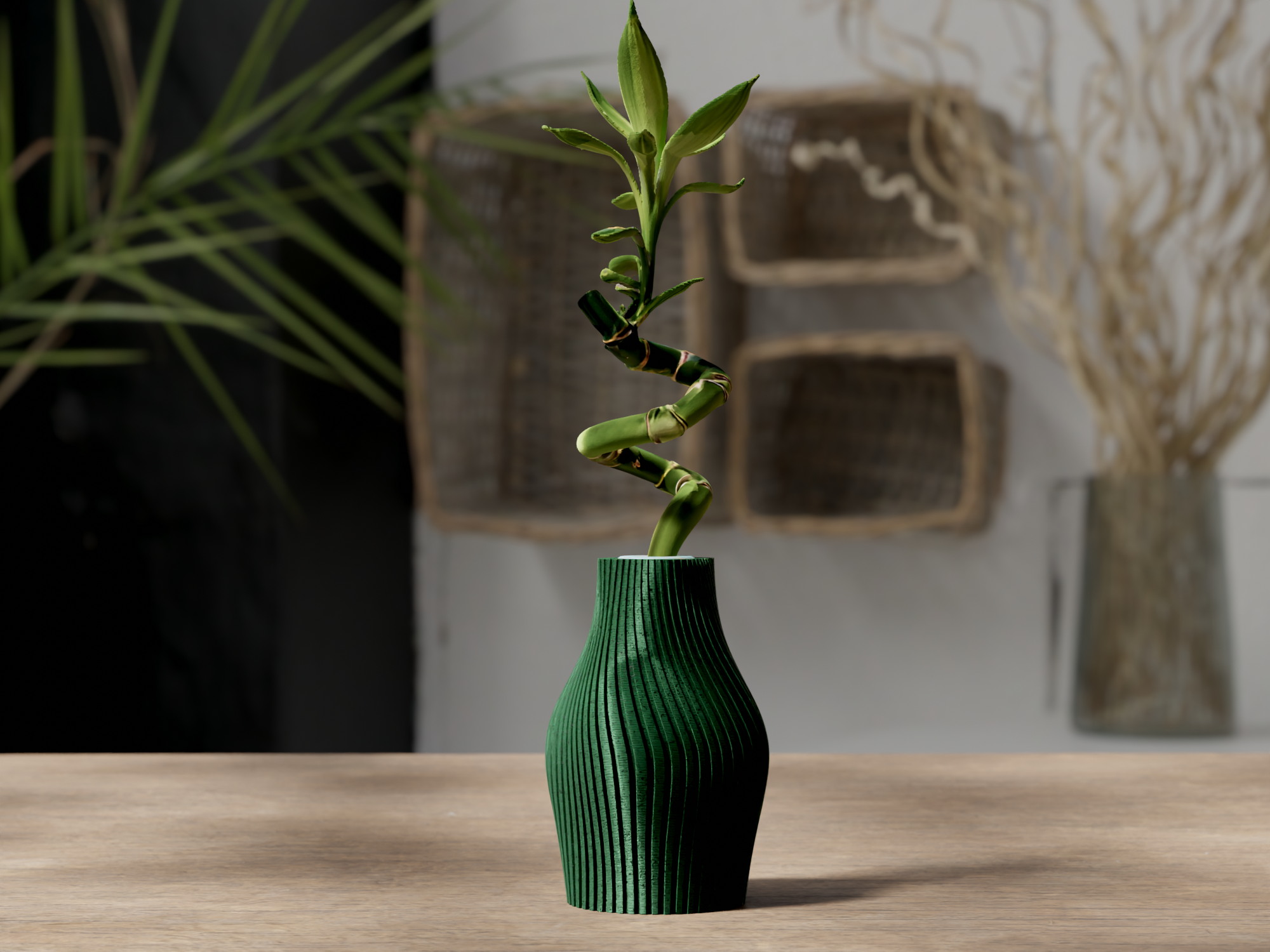Lucky bamboo vase