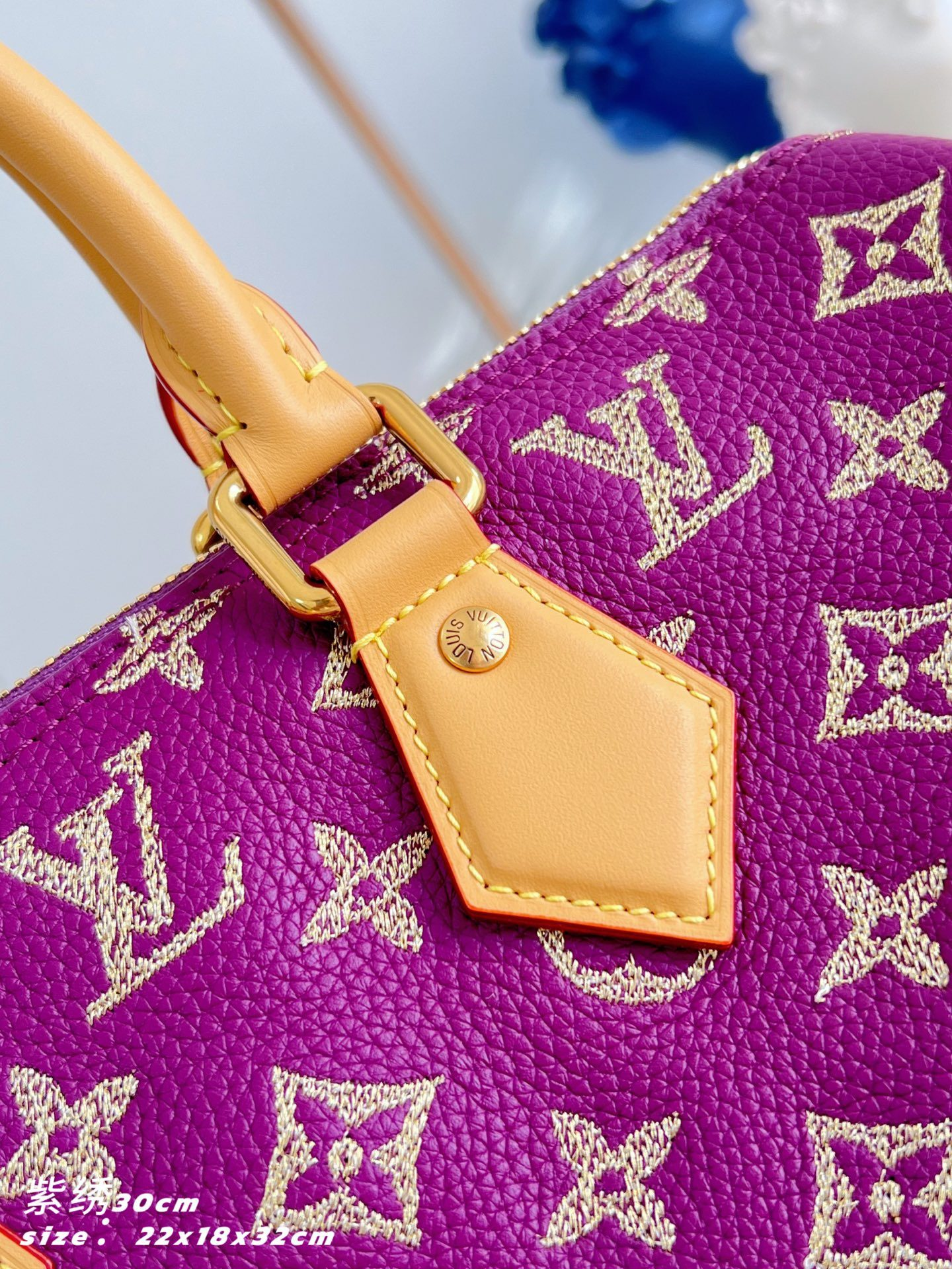 【 M28076 】LV Speedy  P9 Bandoulière 30 handbag