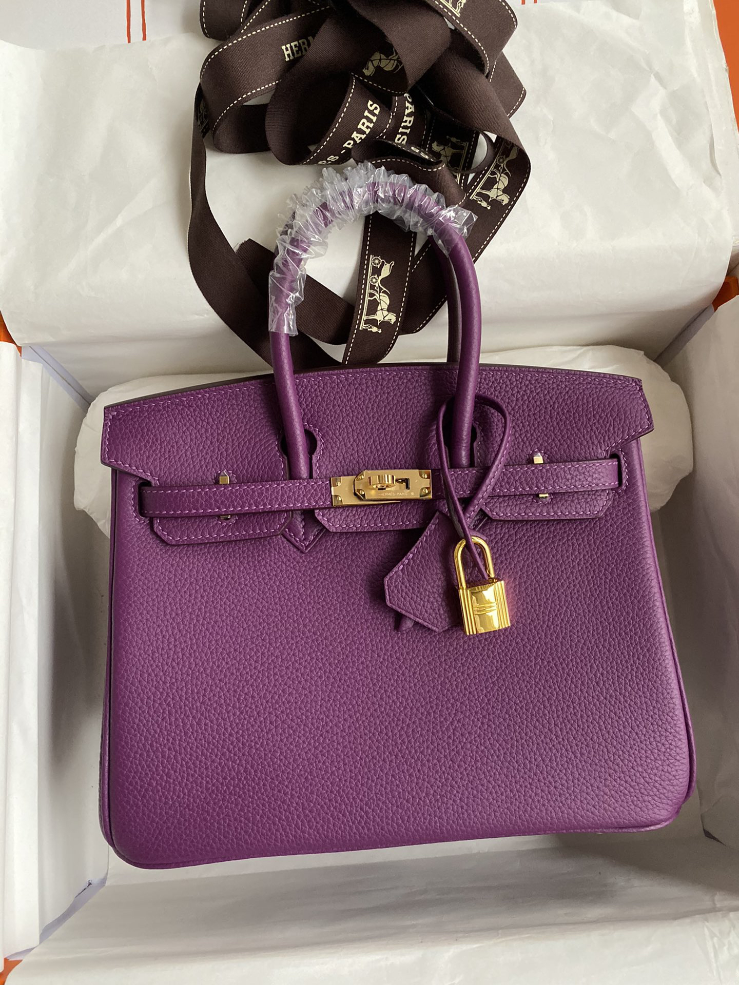 Hermès Birkin 25 purple