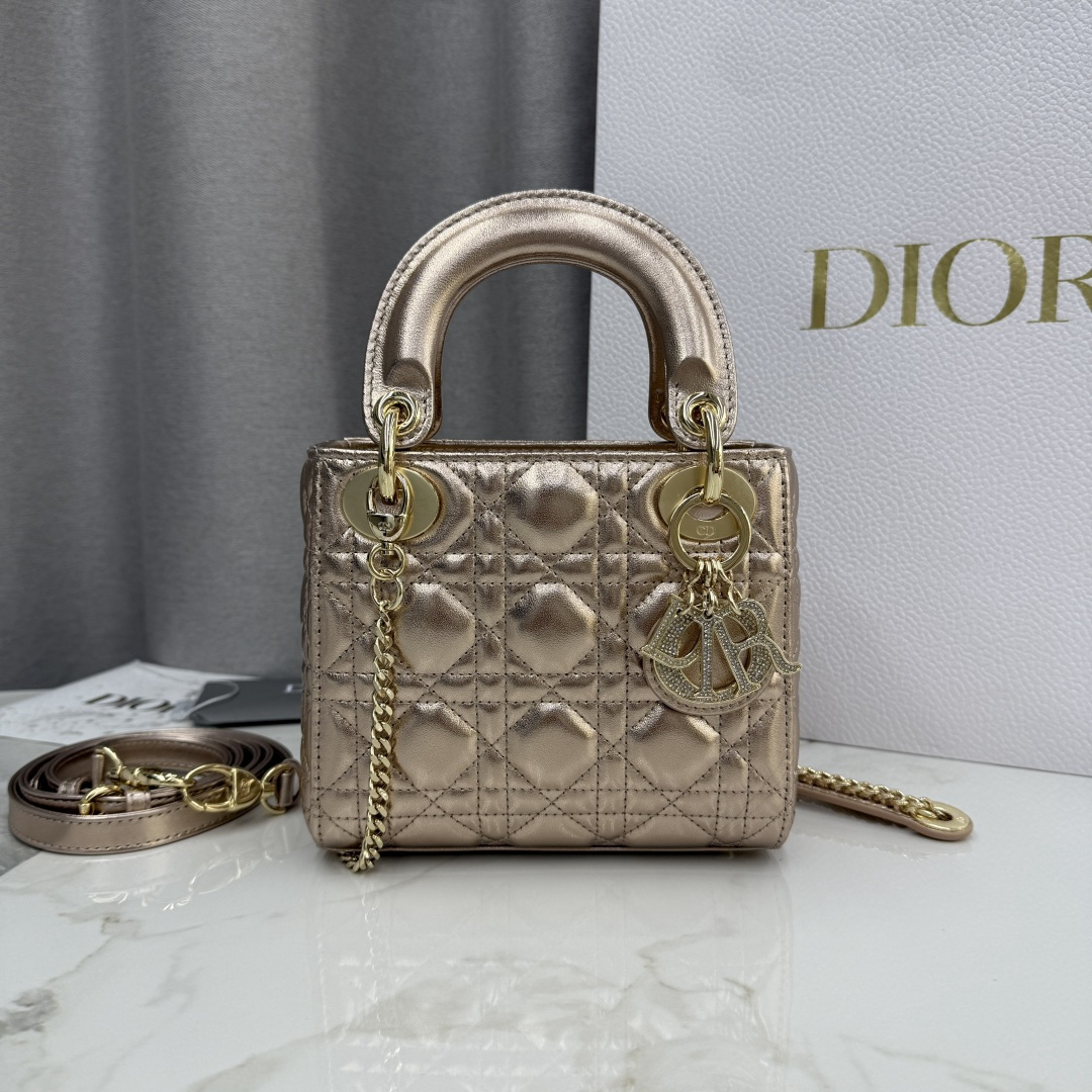 DIOR Lady Dior M0505-1