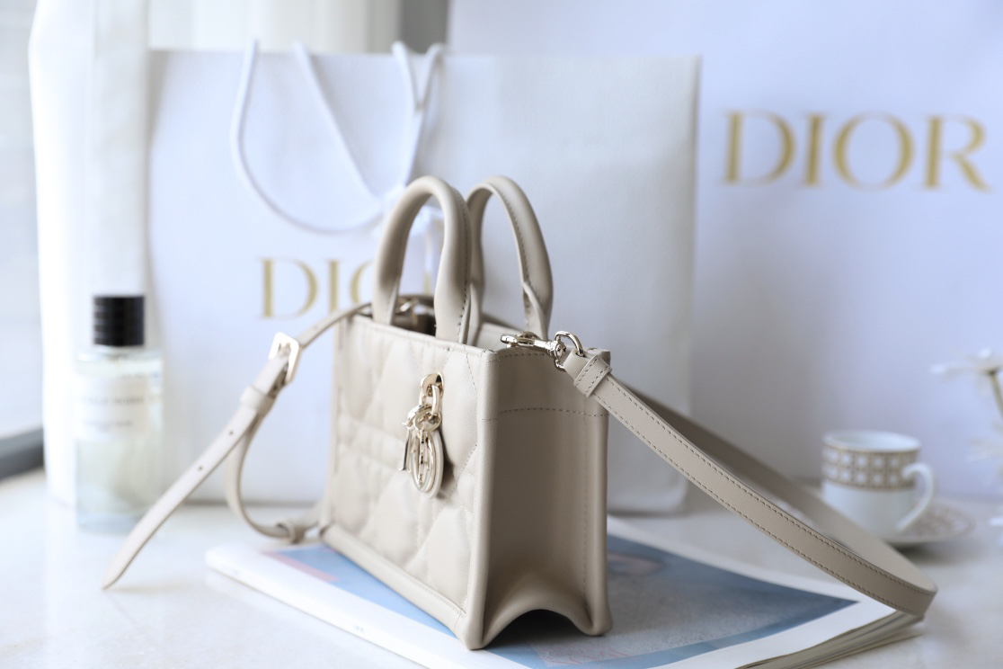 DIOR Book Tote DR-021