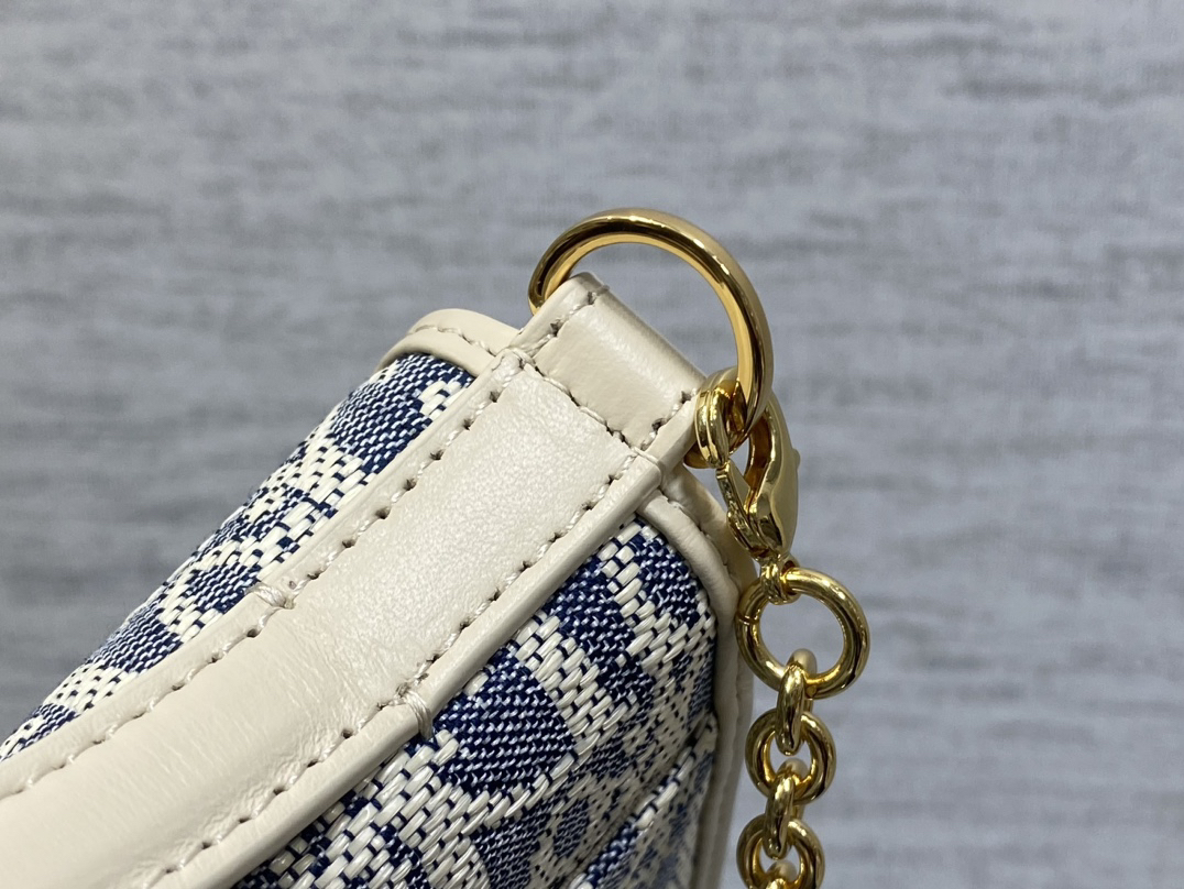 DIOR 30 Montaigne  Cigale Pouch with Chain 1