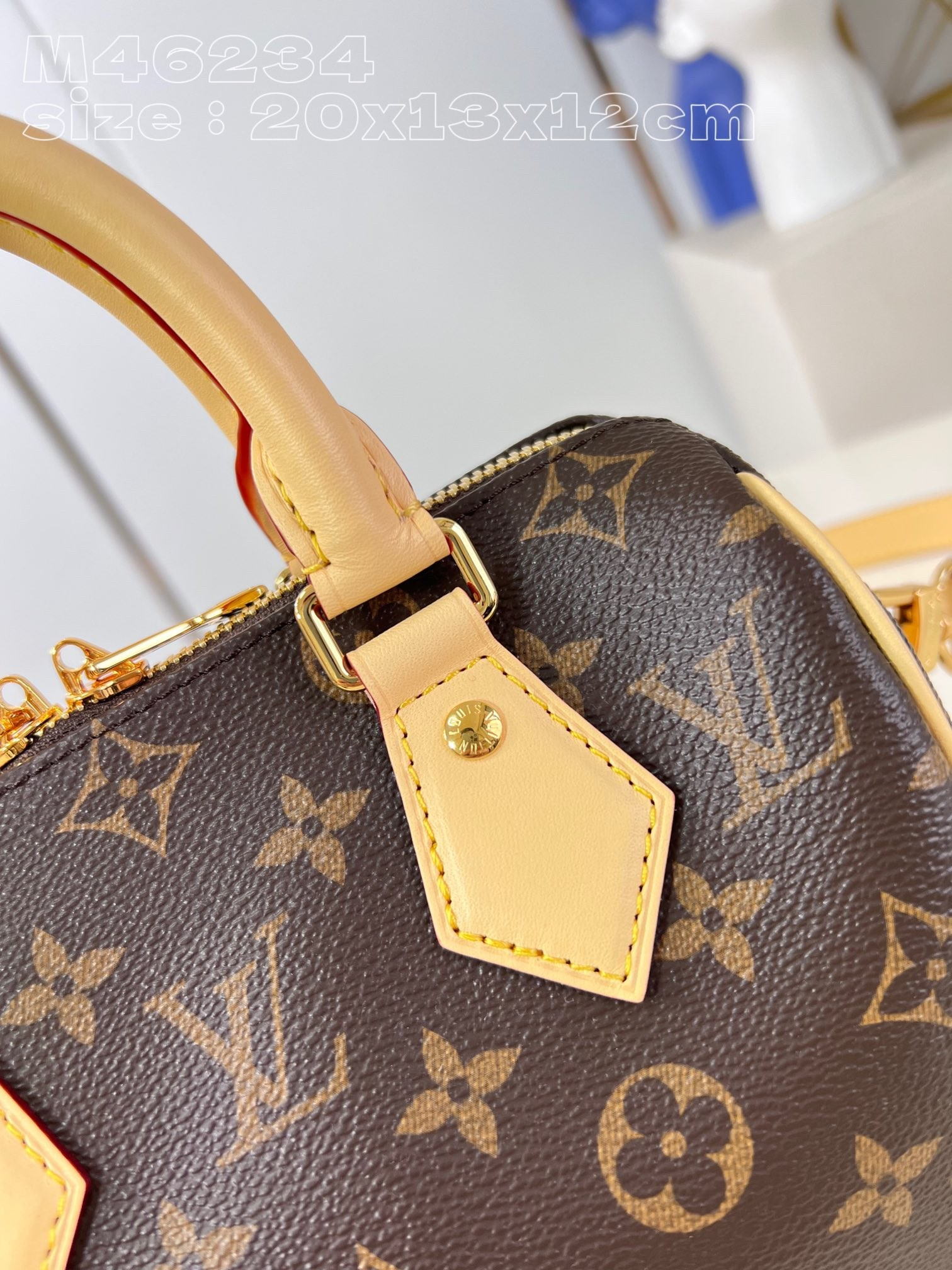 【 M46234 Shoulder Bag Style 】LV Speedy Bandoulière 20 handbag