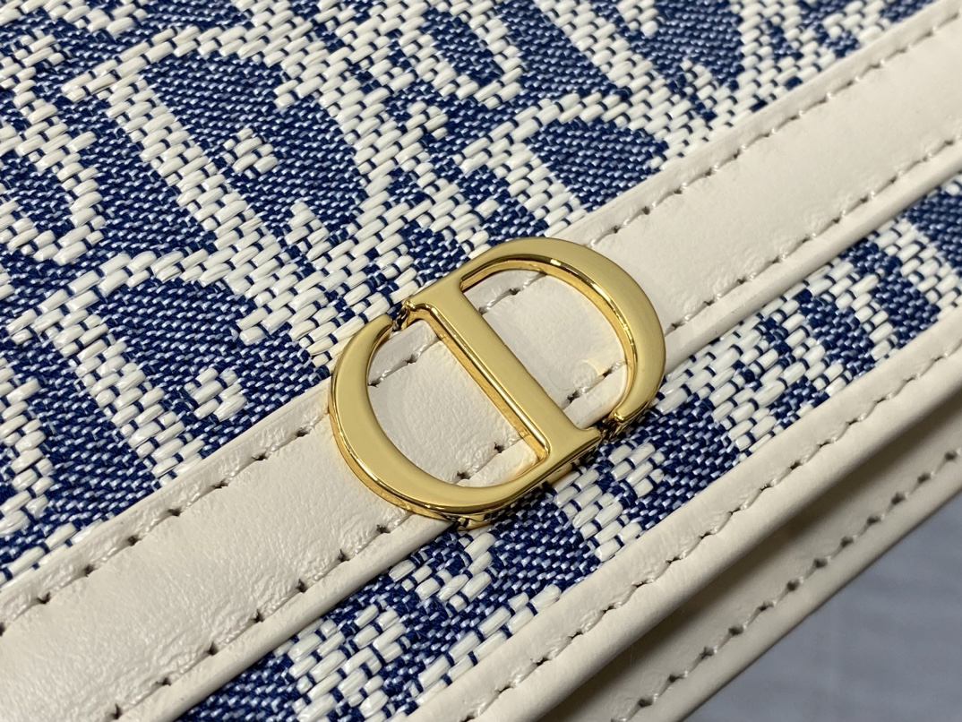 DIOR 30 Montaigne  Cigale Pouch with Chain 1