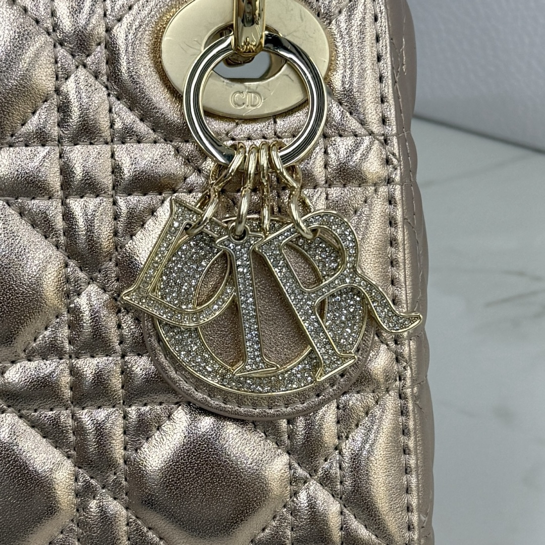 DIOR Lady Dior M0505-1