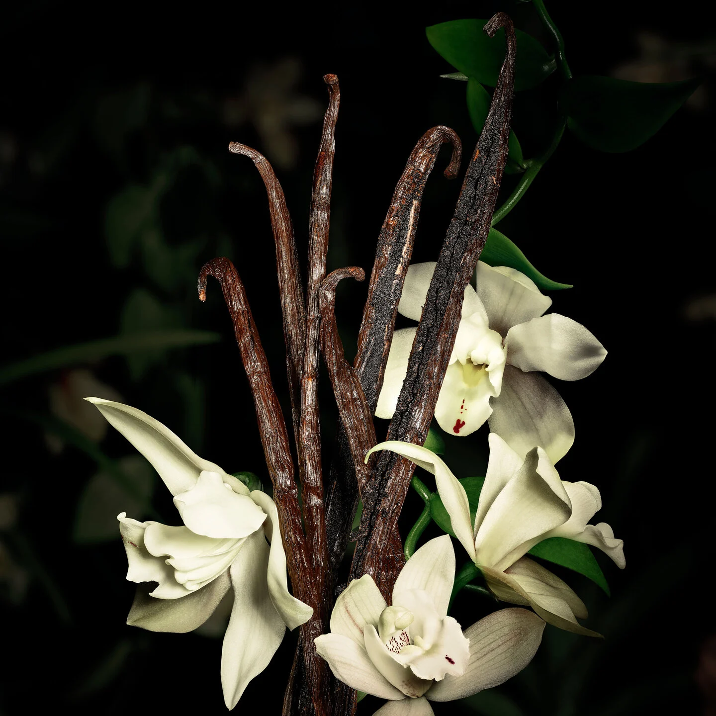 Yves Saint Laurent VELOURS - LE VESTIAIRE DES PARFUMS