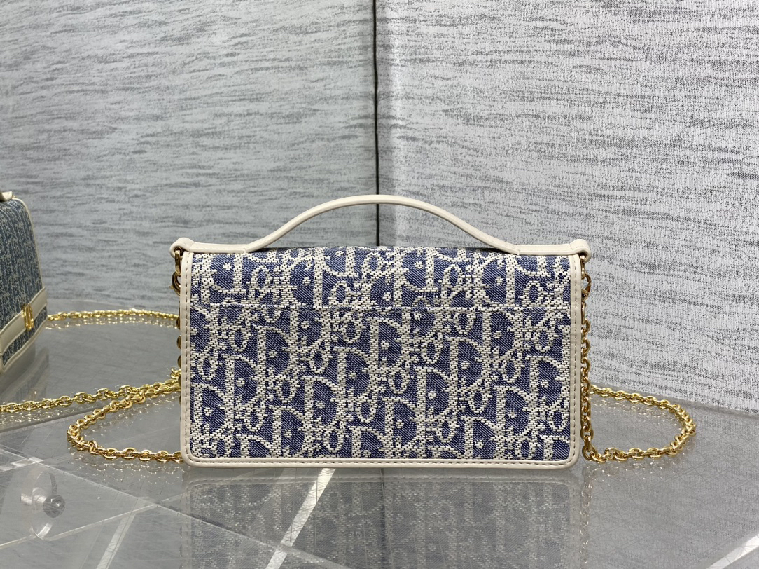 DIOR 30 Montaigne  Cigale Pouch with Chain 1