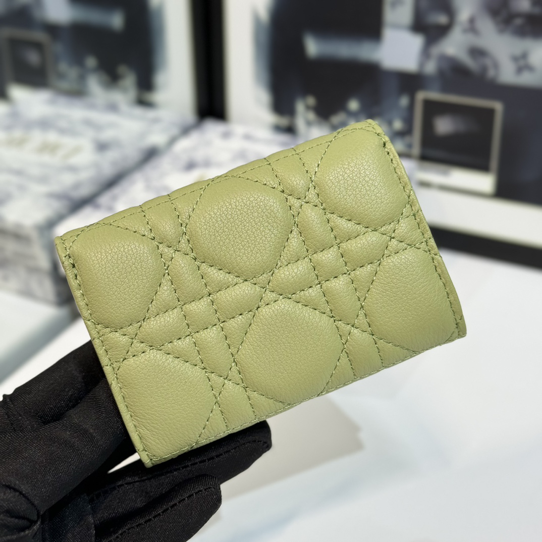 DIOR 30 Montaigne S5132 Avocado color