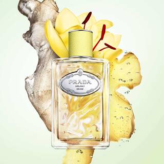 PRADA INFUSION DE GINGEMBRE EAU DE PARFUM
