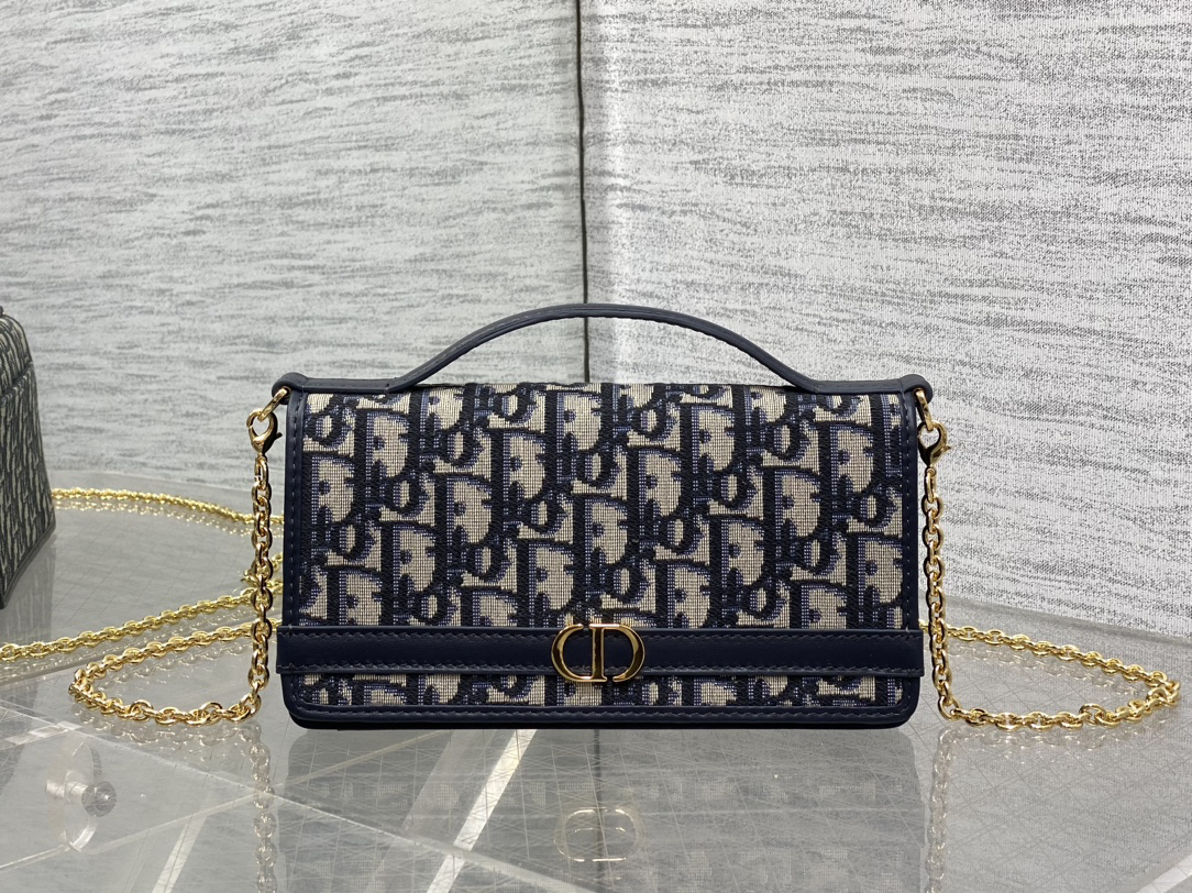 DIOR 30 Montaigne Cigale Pouch with Chain