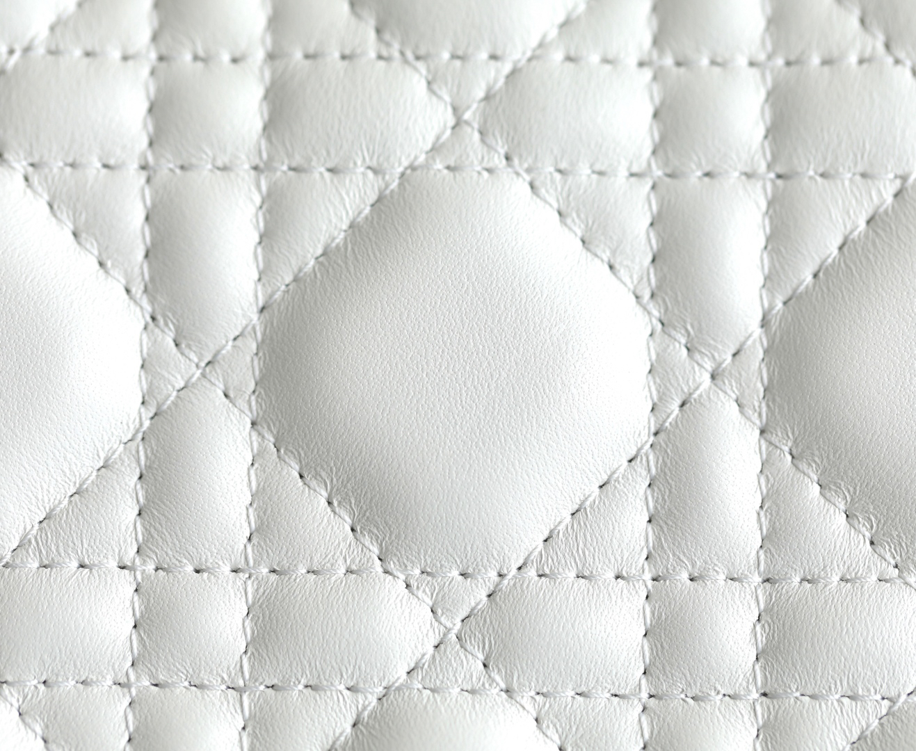 DIOR Lady Dior DR-091