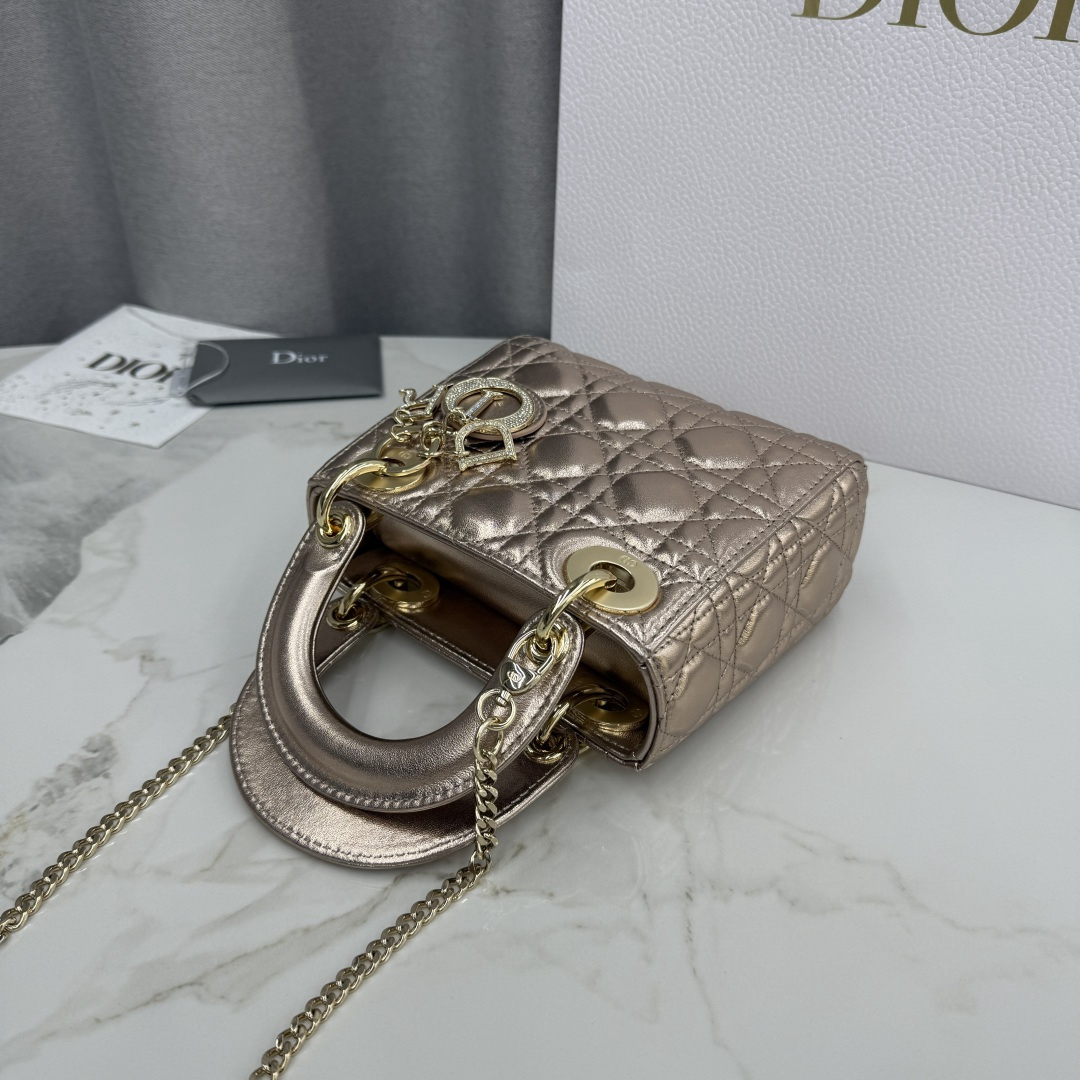 DIOR Lady Dior M0505-1