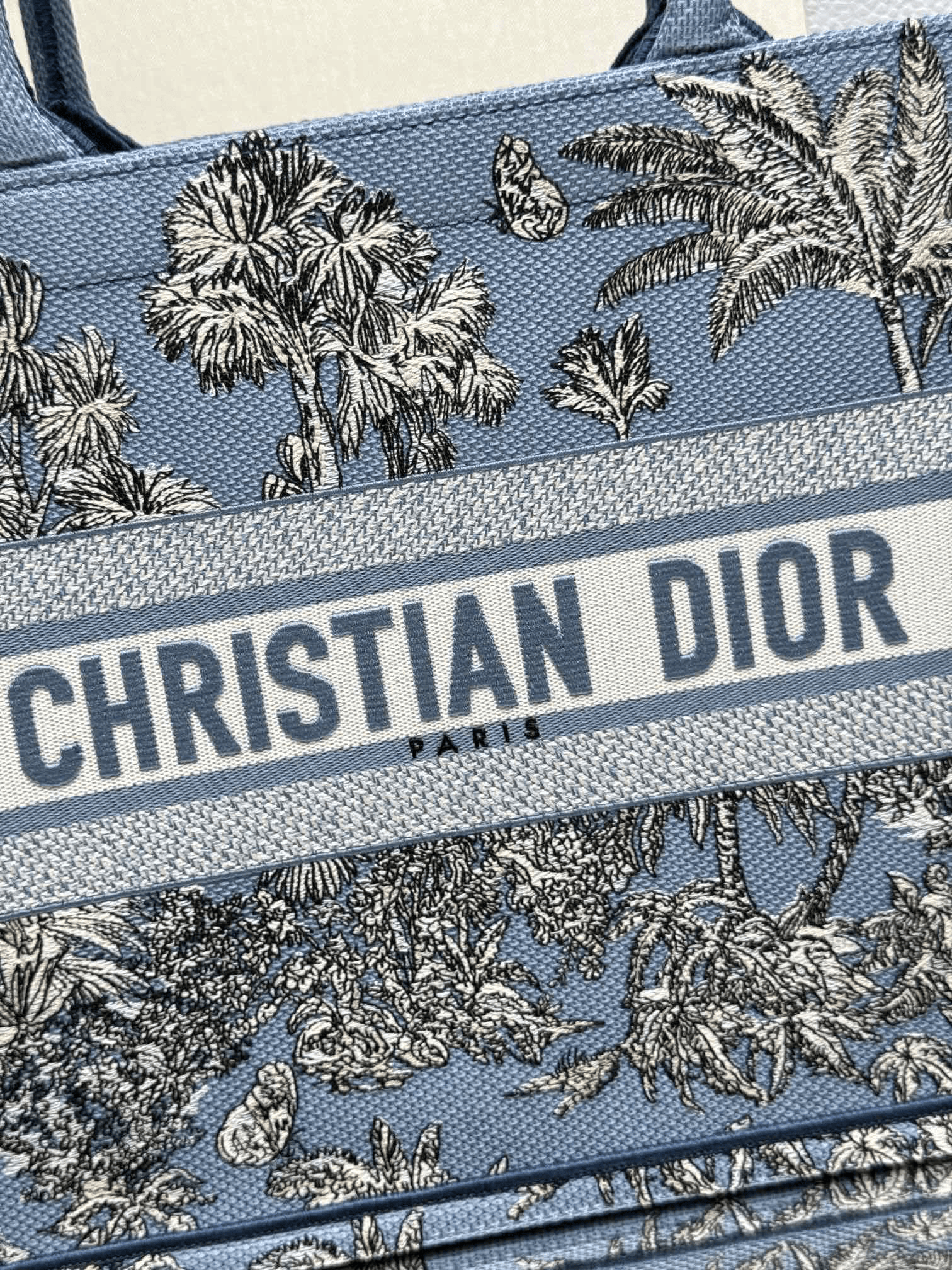 DIOR Book Tote New Coconut Tree Sea Blue Medium Size