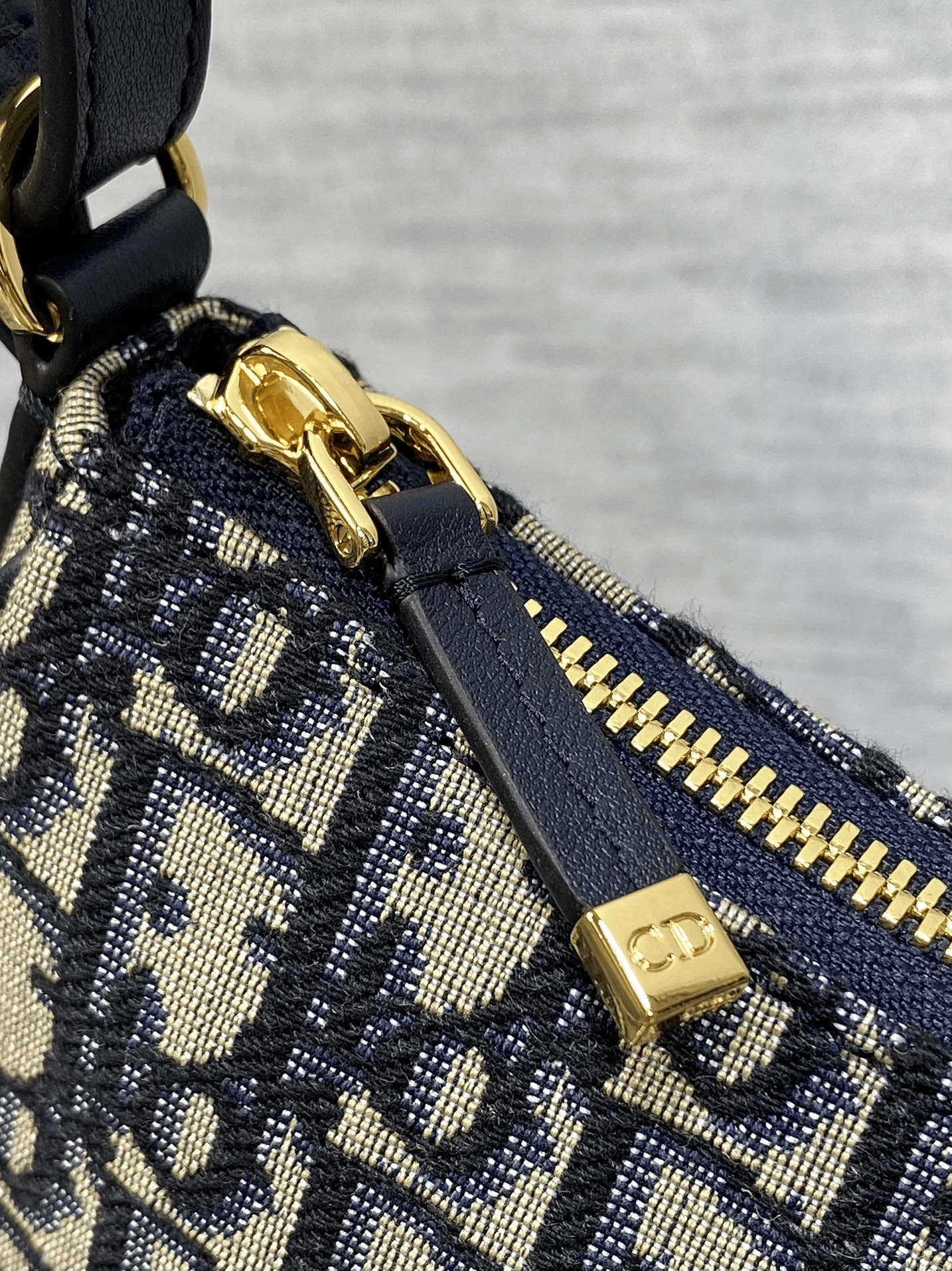 DIOR 30 Montaigne Cigale Mini Bag