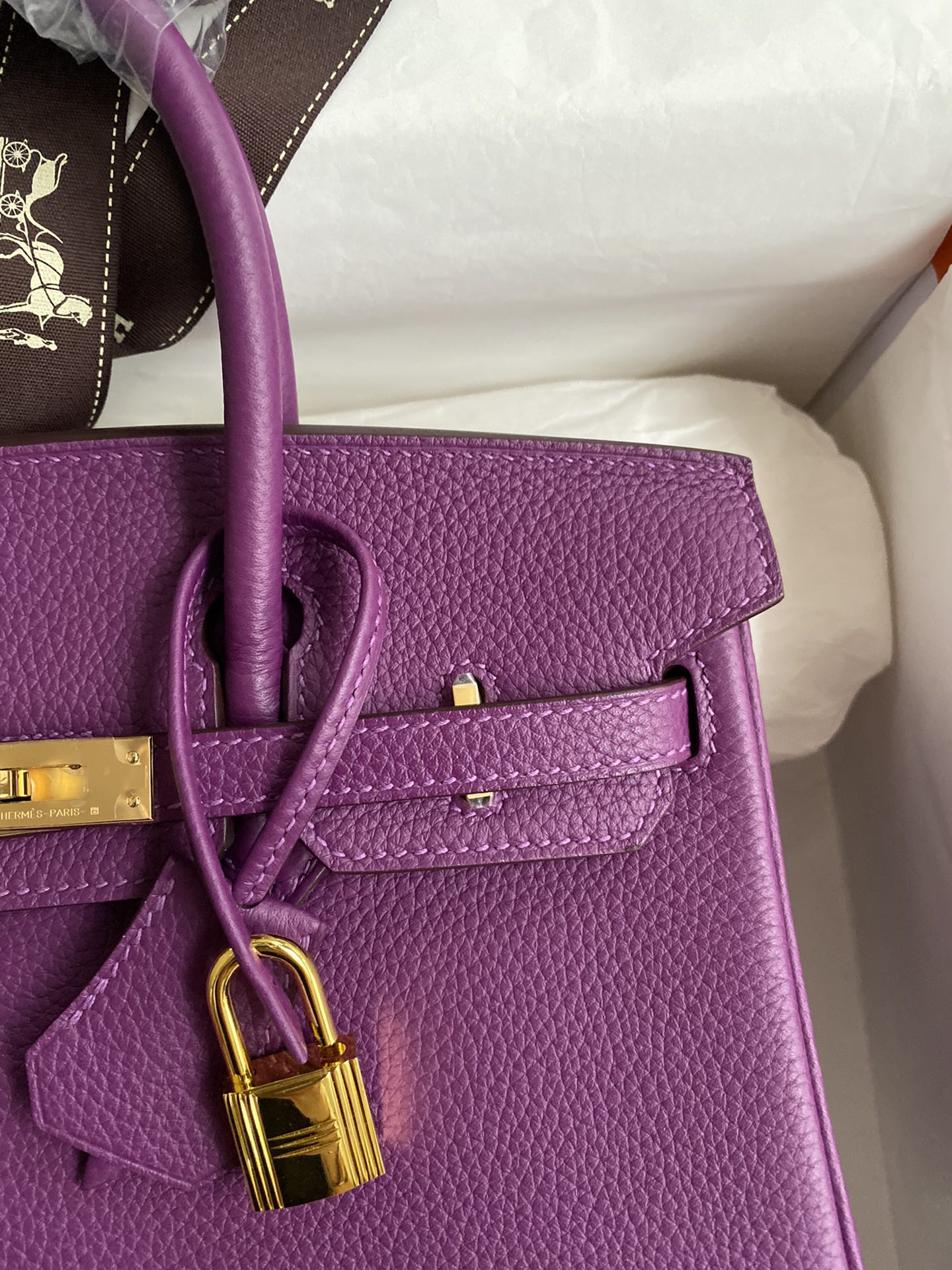 Hermès Birkin 25 purple