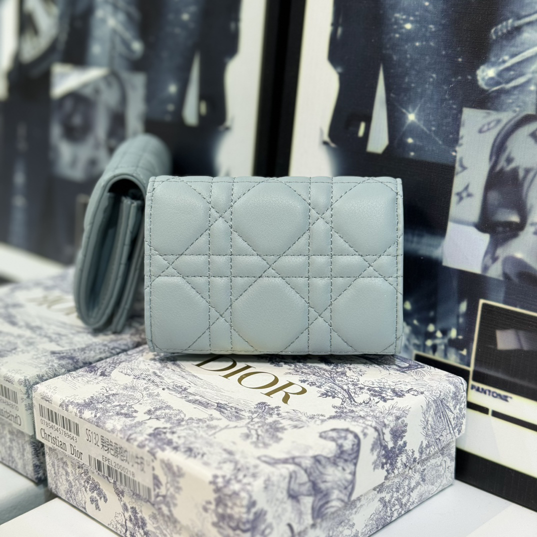 DIOR 30 Montaigne S5132