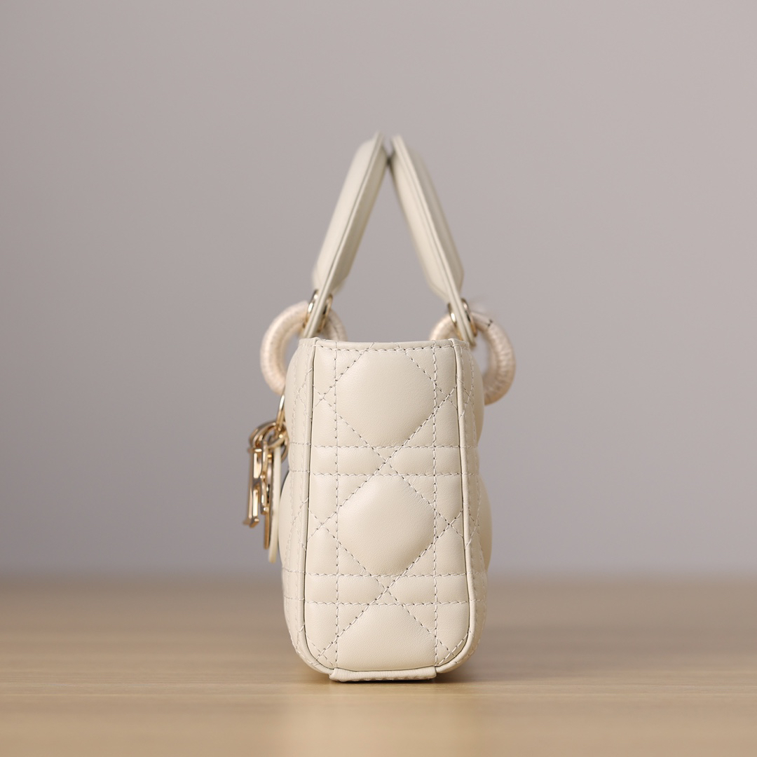 DIOR Lady Dior Small-sized Lady D-Joy handbag