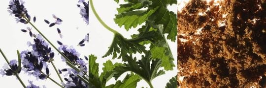 PRADA LUNA ROSSA EAU DE TOILETTE