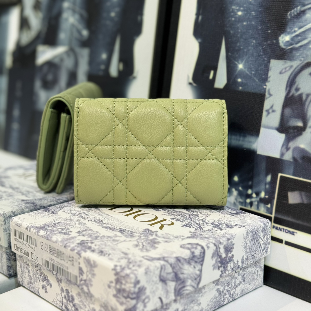 DIOR 30 Montaigne S5132 Avocado color