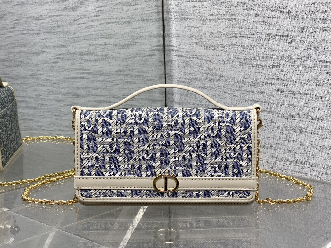 DIOR 30 Montaigne  Cigale Pouch with Chain 1