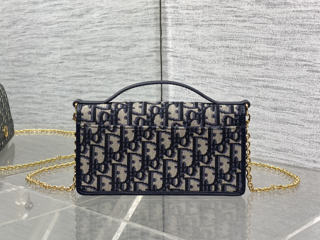 DIOR 30 Montaigne Cigale Pouch with Chain