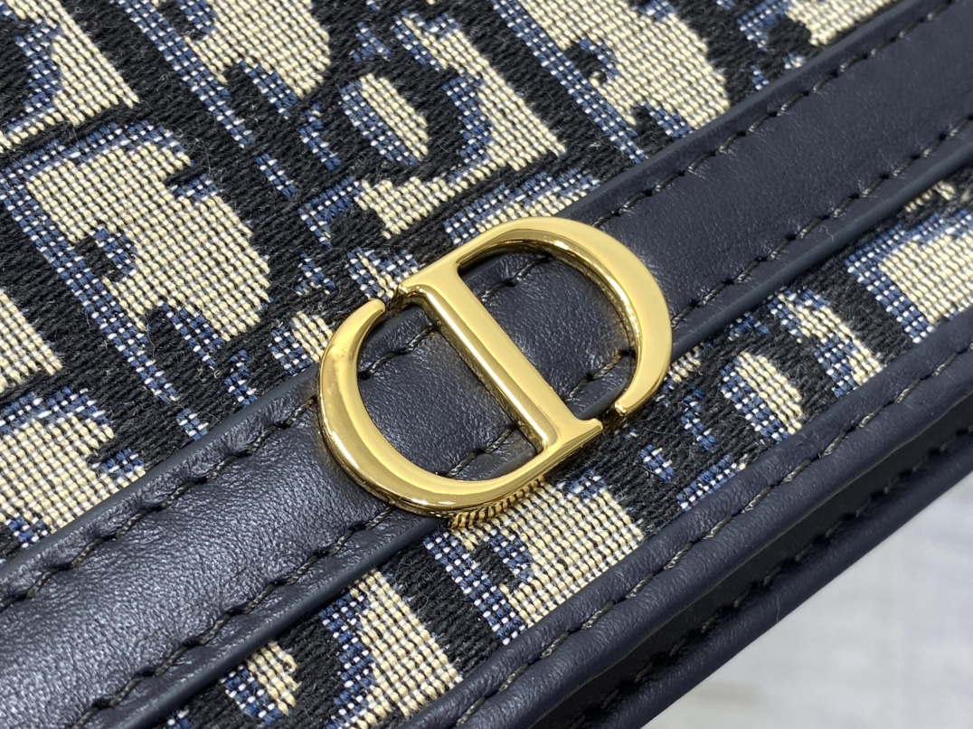 DIOR 30 Montaigne Cigale Pouch with Chain