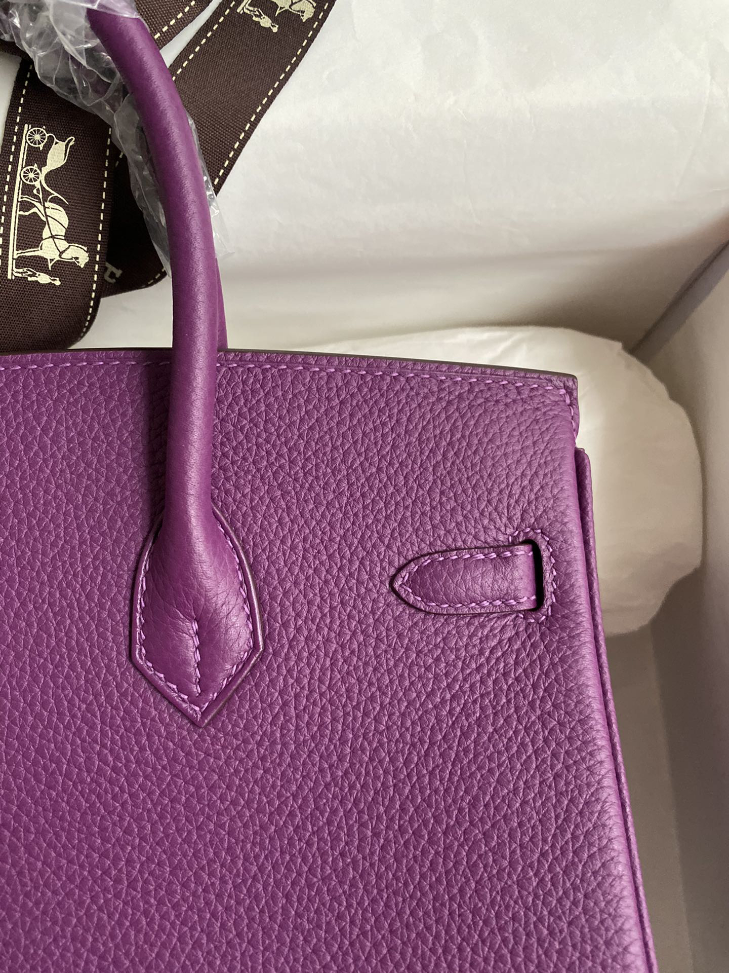 Hermès Birkin 25 purple