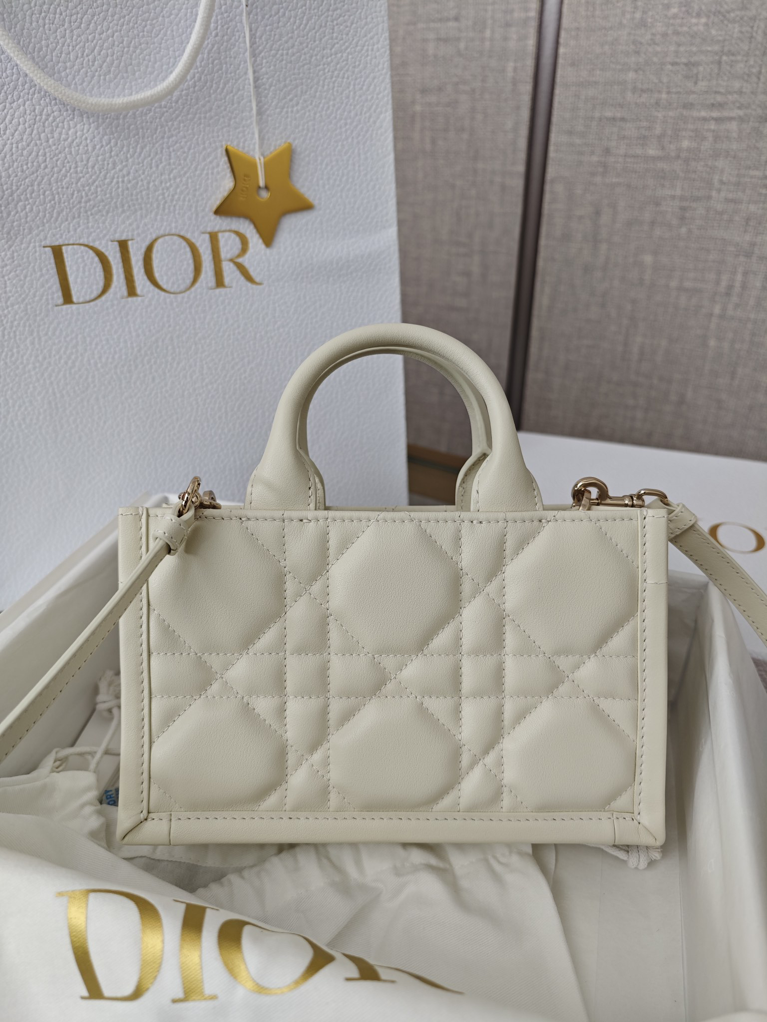 DIOR Mini Book Tote White handbag
