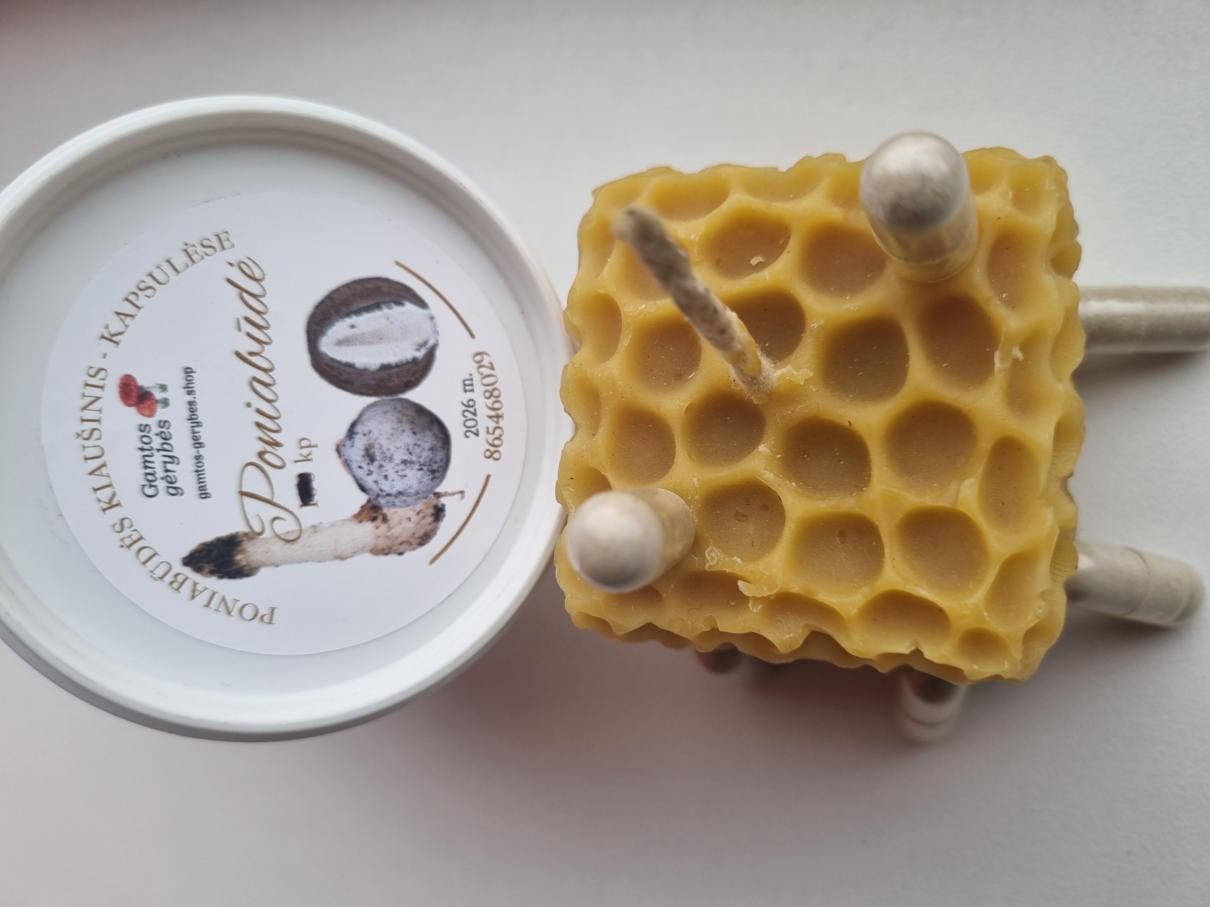 Poniabudės žaliava kapsulėmis kultivuota tinkanti dekorui