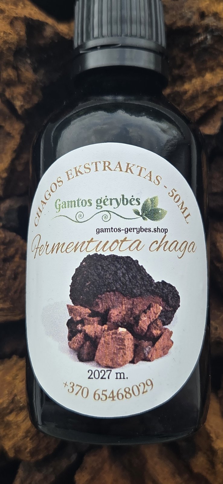 Fermentuota Chaga