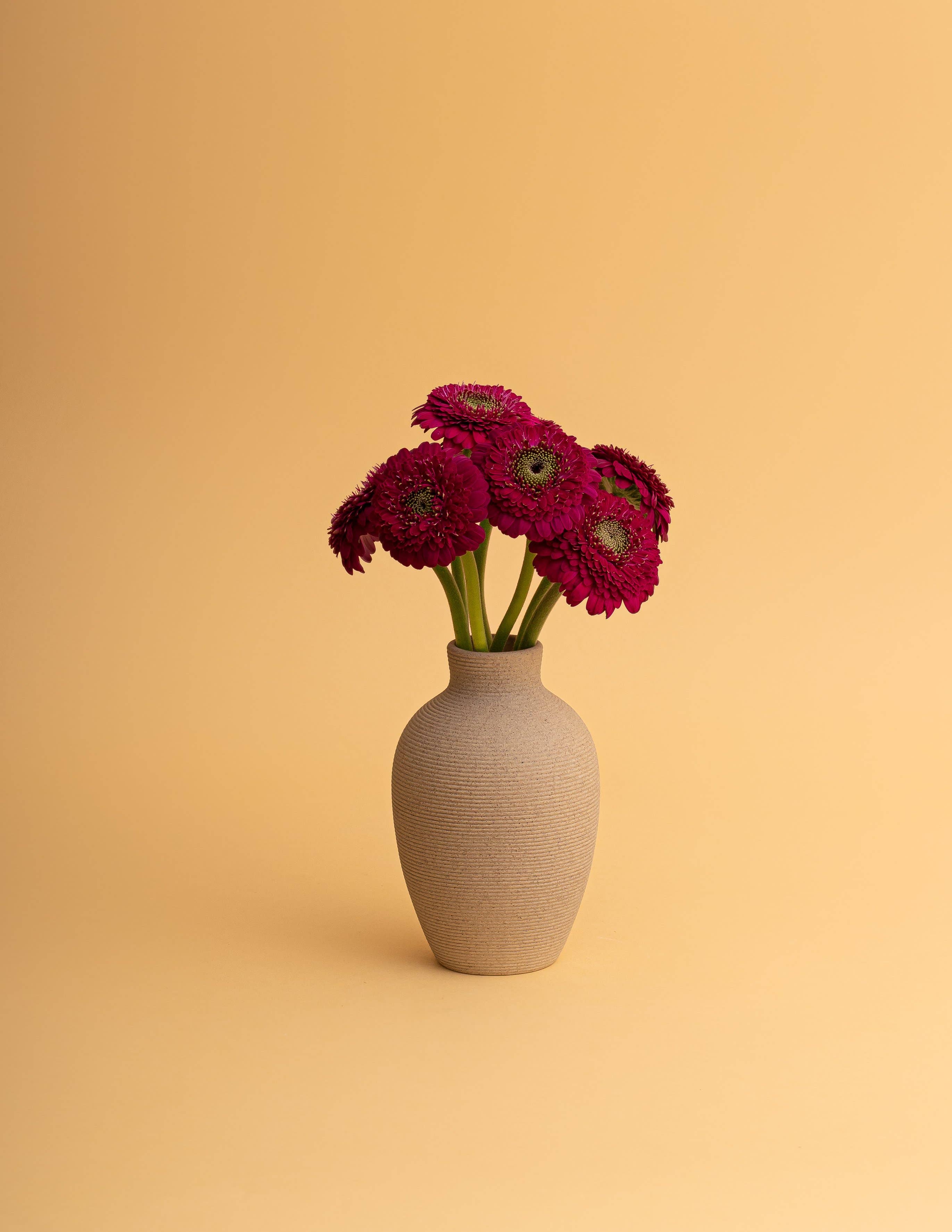 Curvy Vase – North Palm