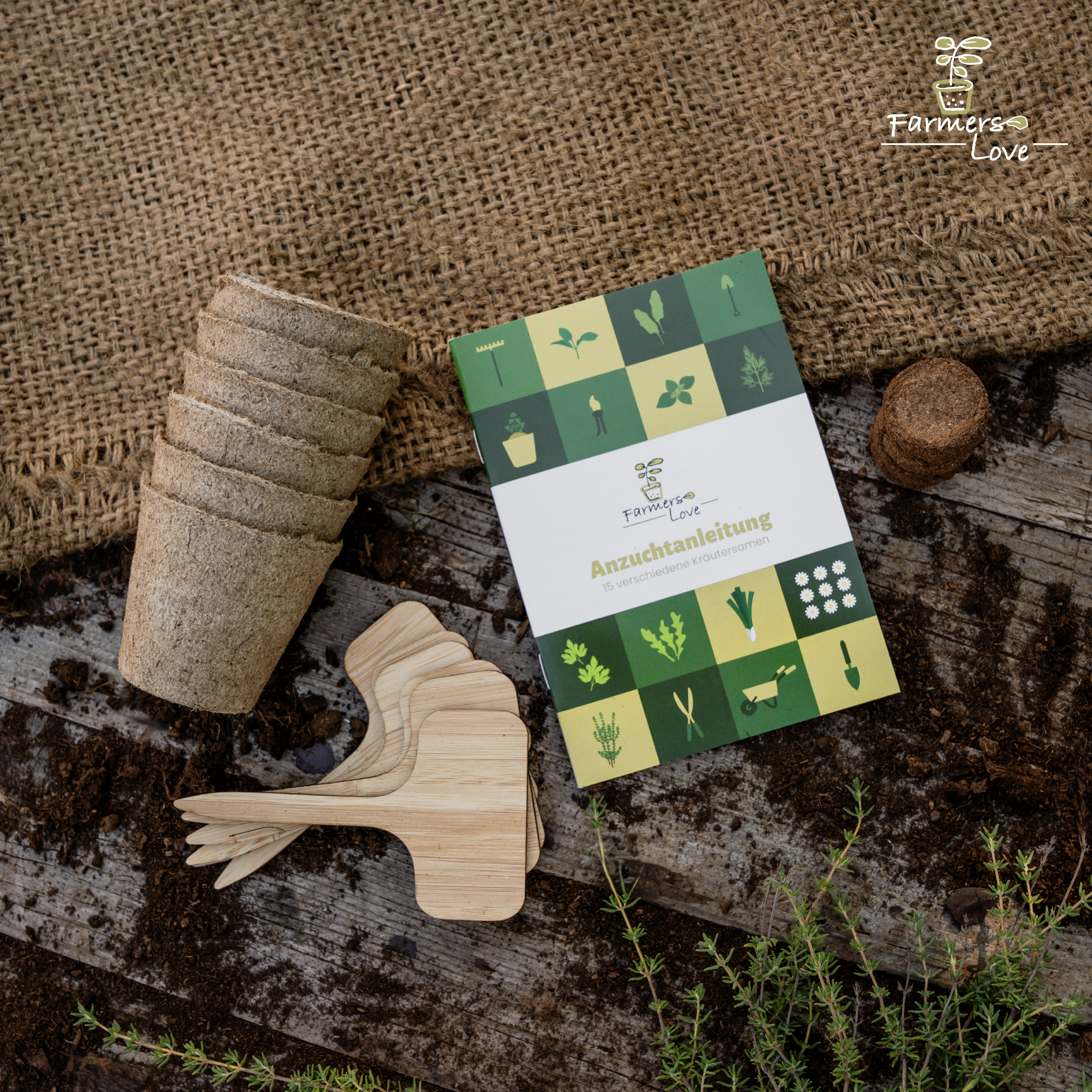 Žolelių sėklų rinkinys – Grand Box (15 vnt.)