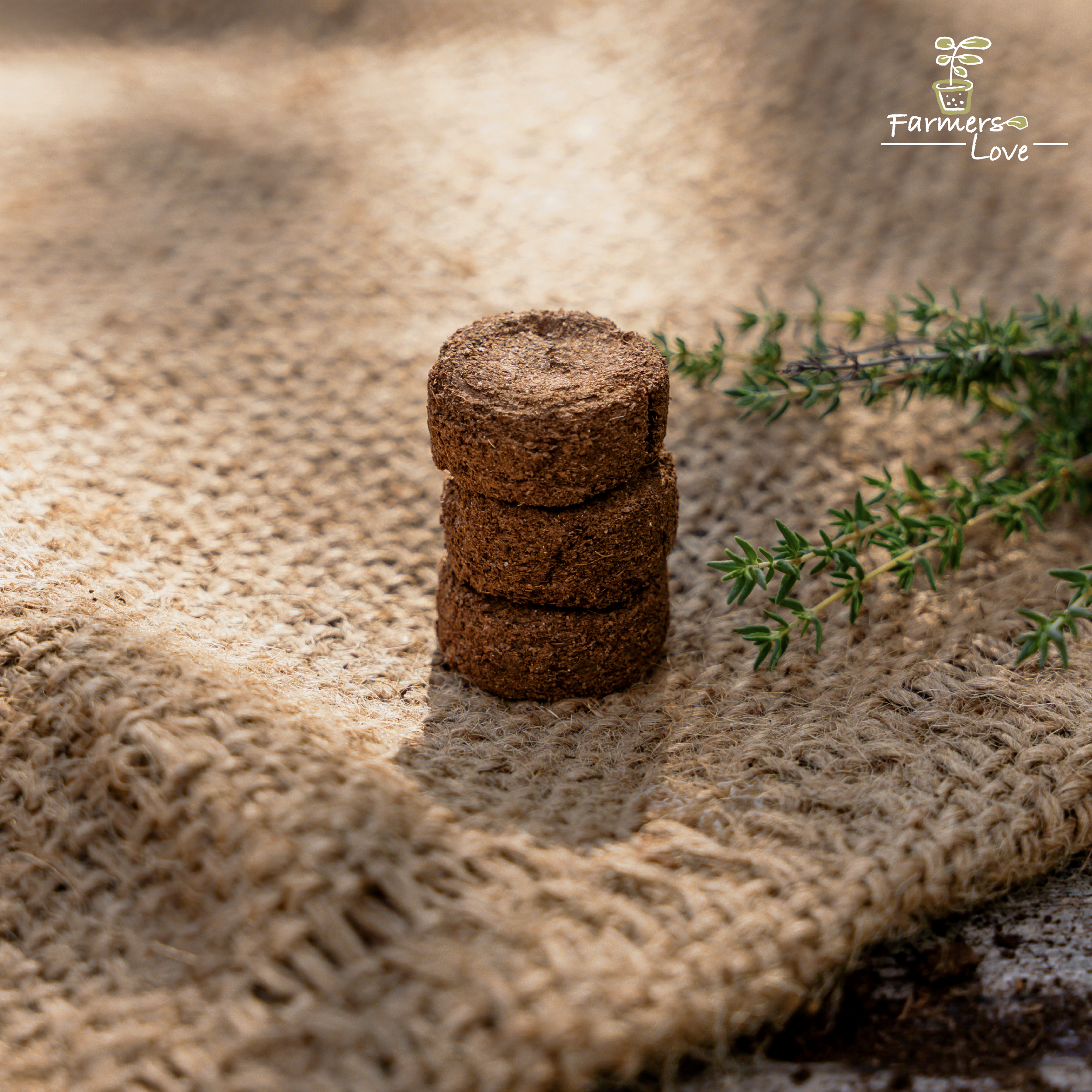 Premium 100 vnt. sėklų rinkinys medinėje dėžutėje