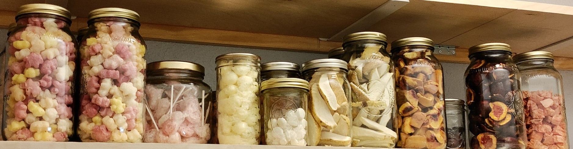 Assorted Homemade Freeze dried fruits and candies - under construction coming soon!