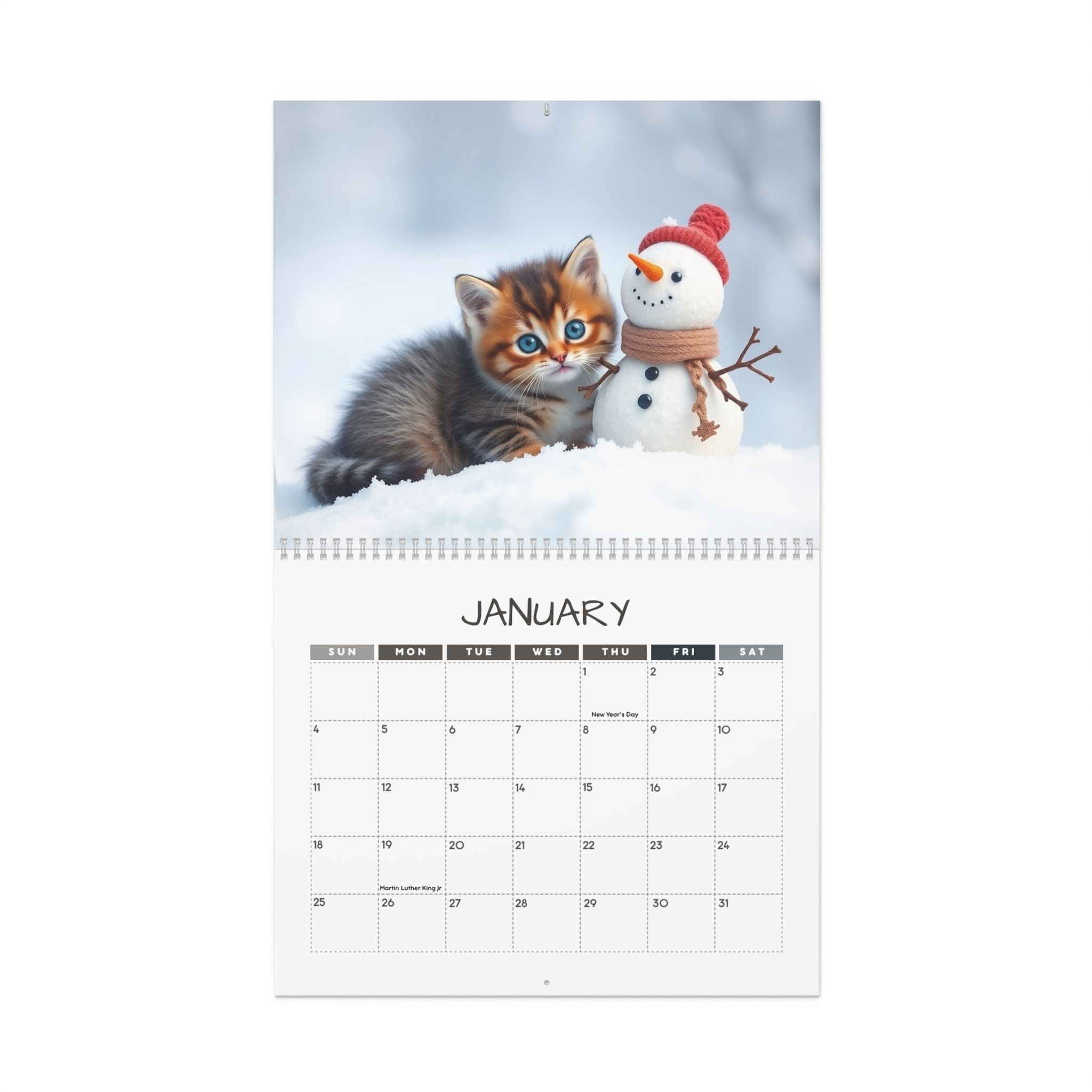 Kitty Cats Companions: 12 Month Cat Lover Monthly Wall Calendar