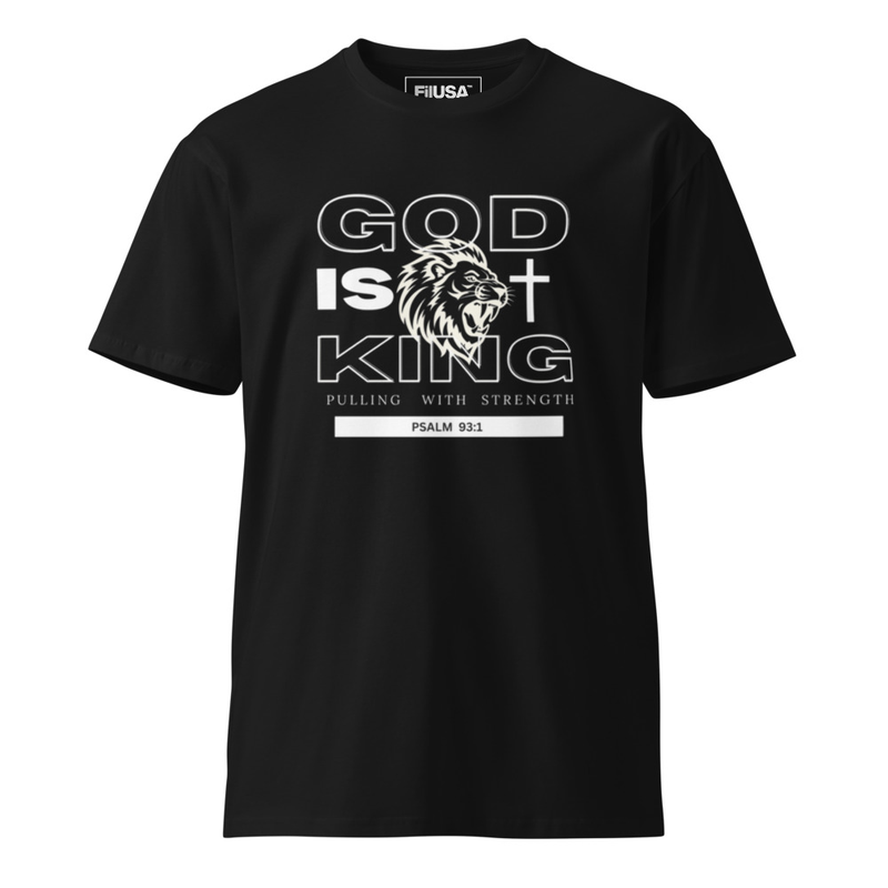 FilUSA Unisex premium t-shirt