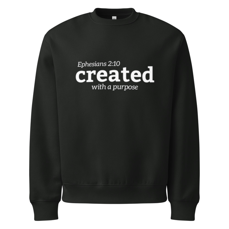 FilUSA Oversized Heavyweight Sweatshirt