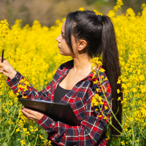 ASESORIAS PERSONALIZADAS $200.000