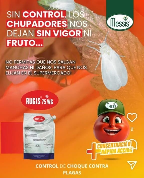 RUGIS 450gr $175.000