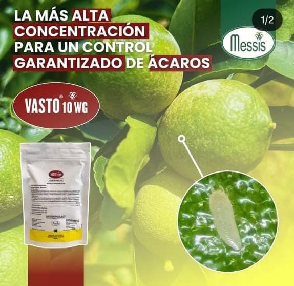 VASTO 600gr $183.250