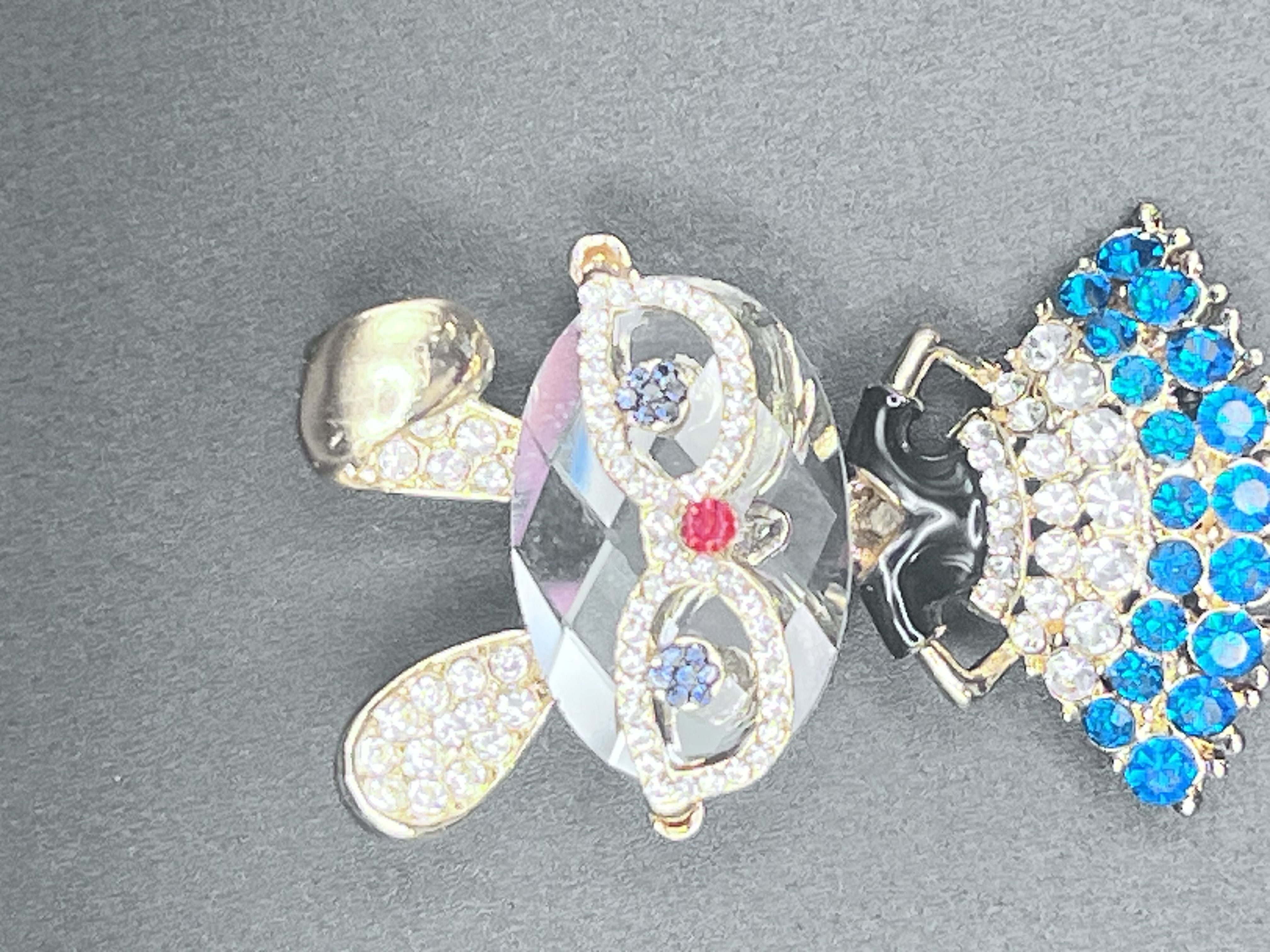 Hoppin in Style Rhinestone Brooch