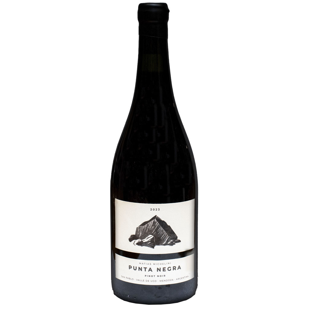 Matías Michelini Punta Negra