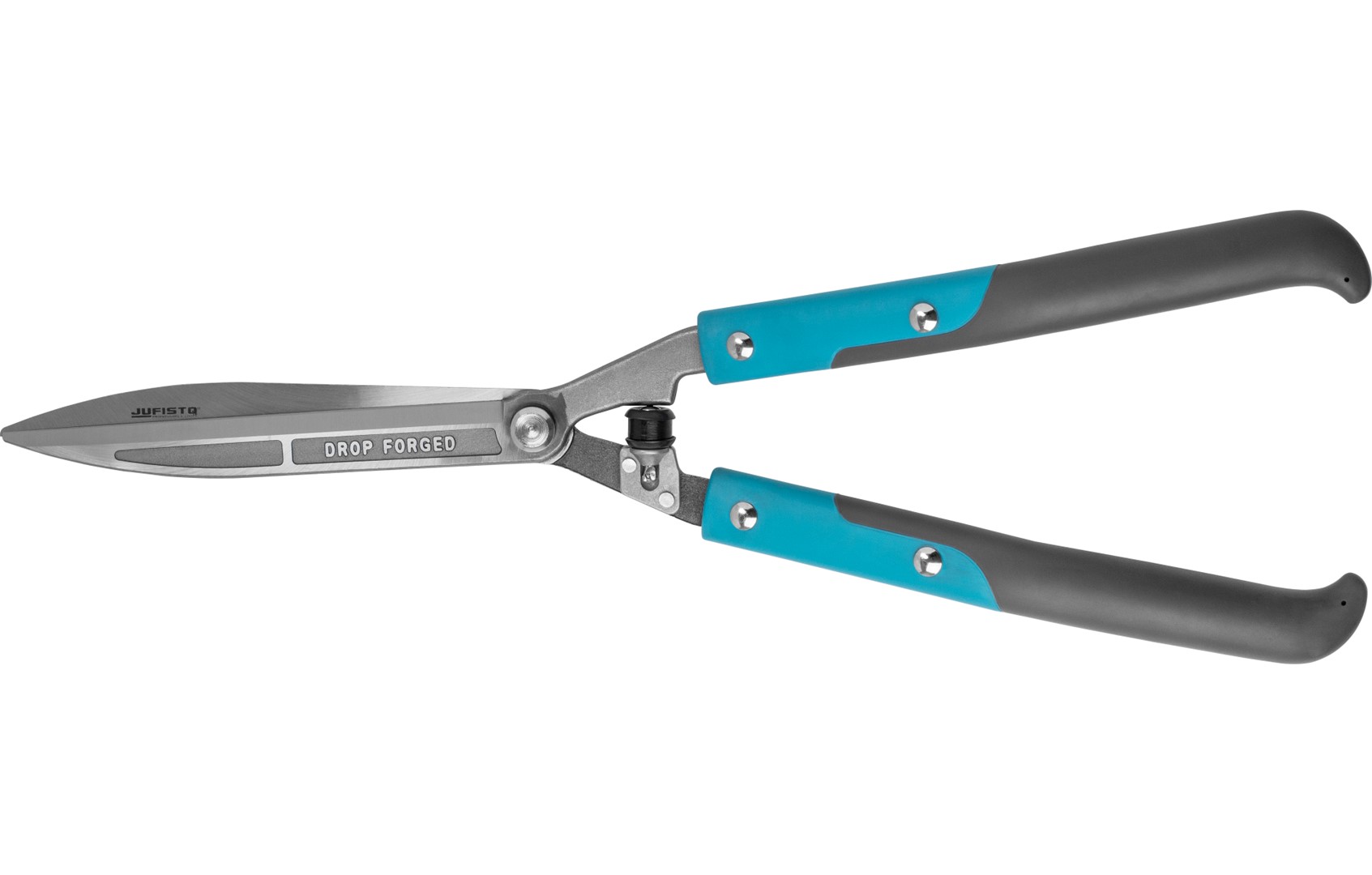 Gershere ligustrash Jufisto