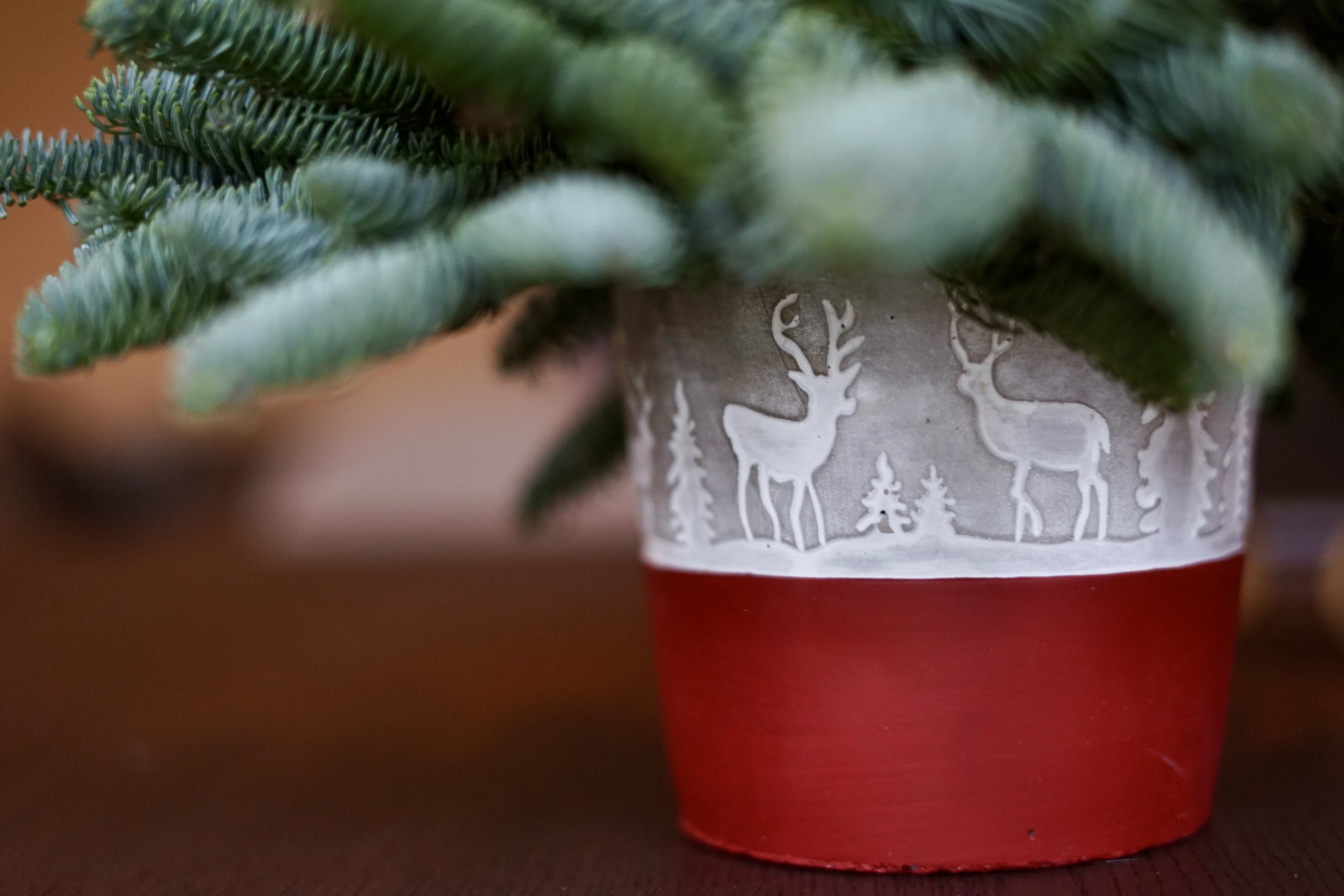 Užsakymas raudonas vazonėlis